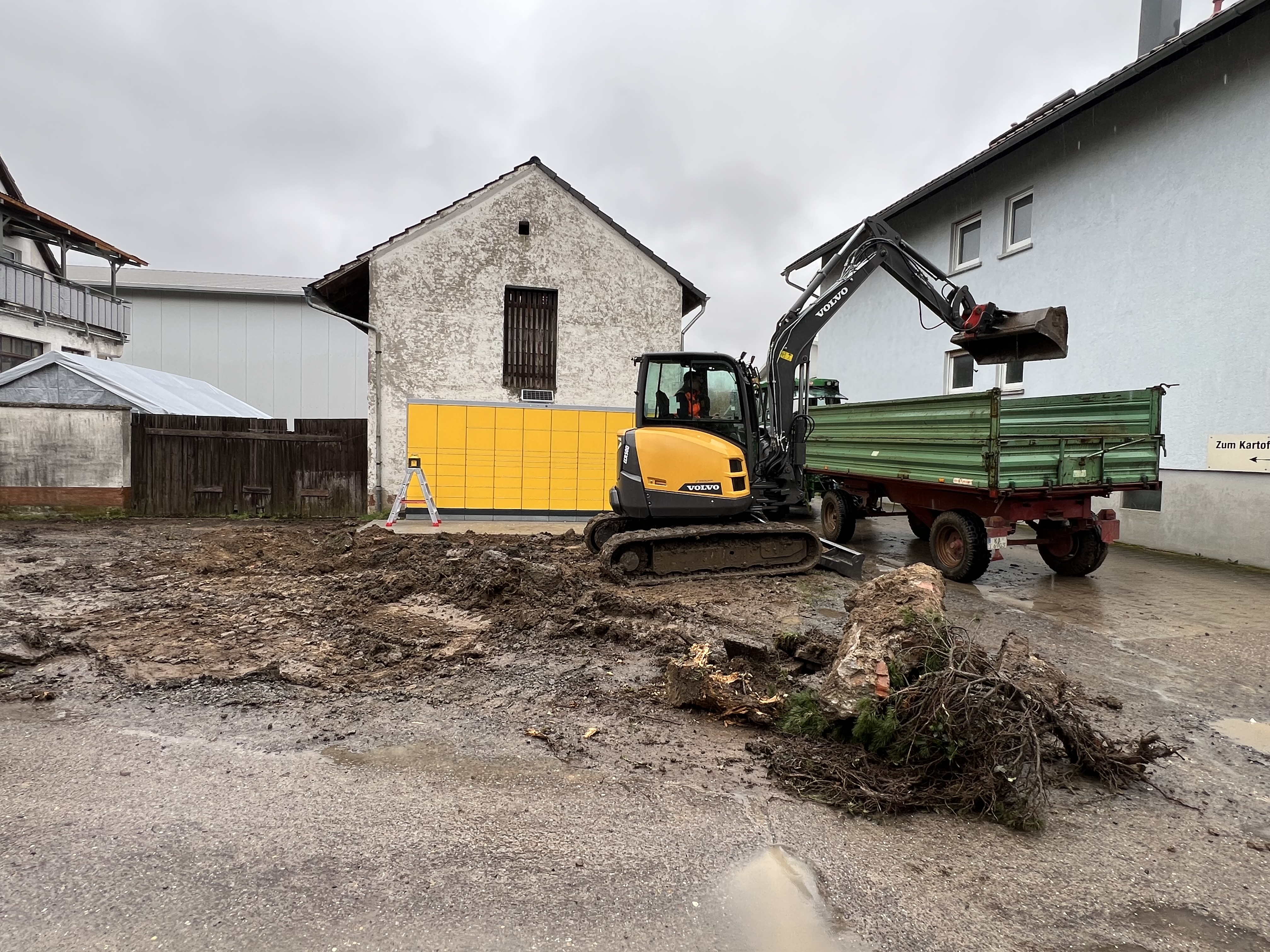 Beispiel Heckenschnitt