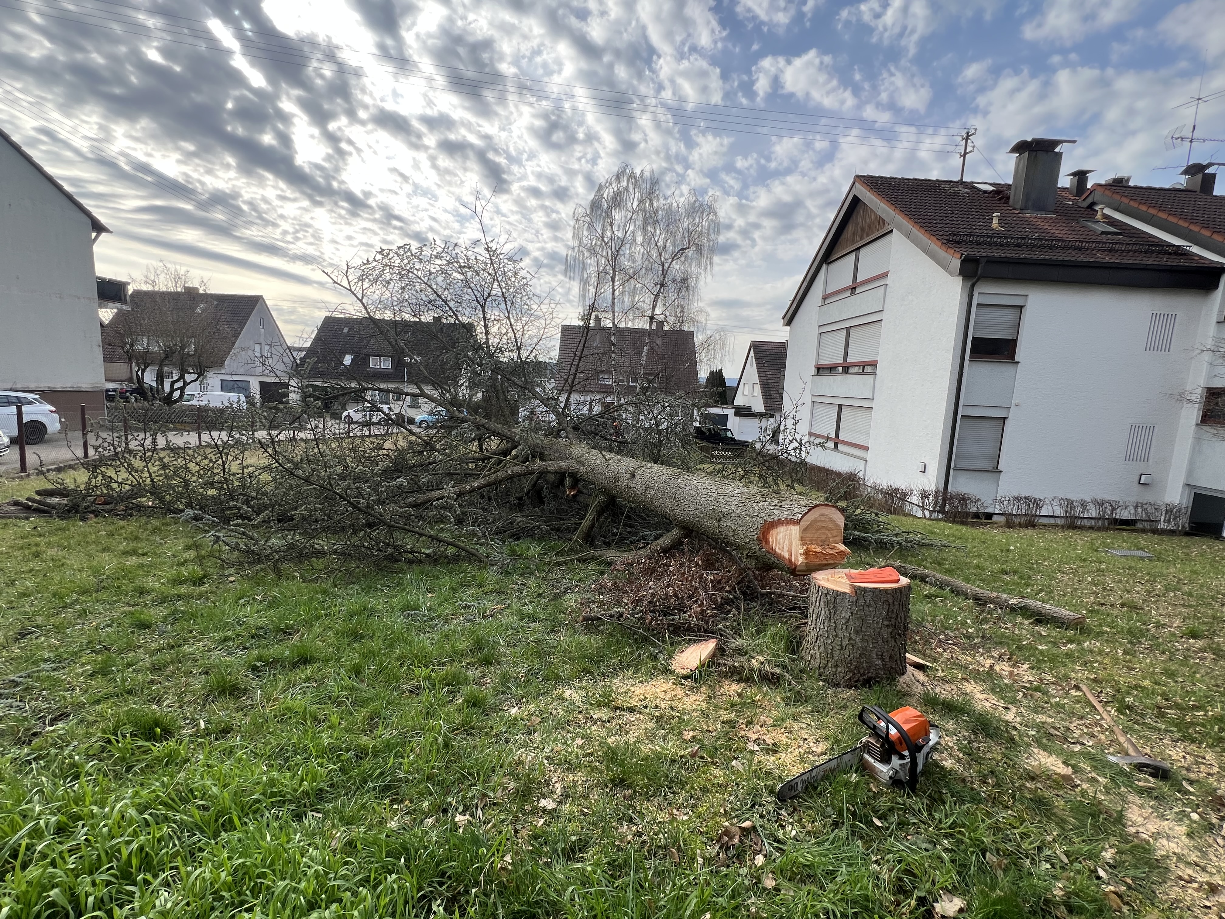 Beispiel Heckenschnitt