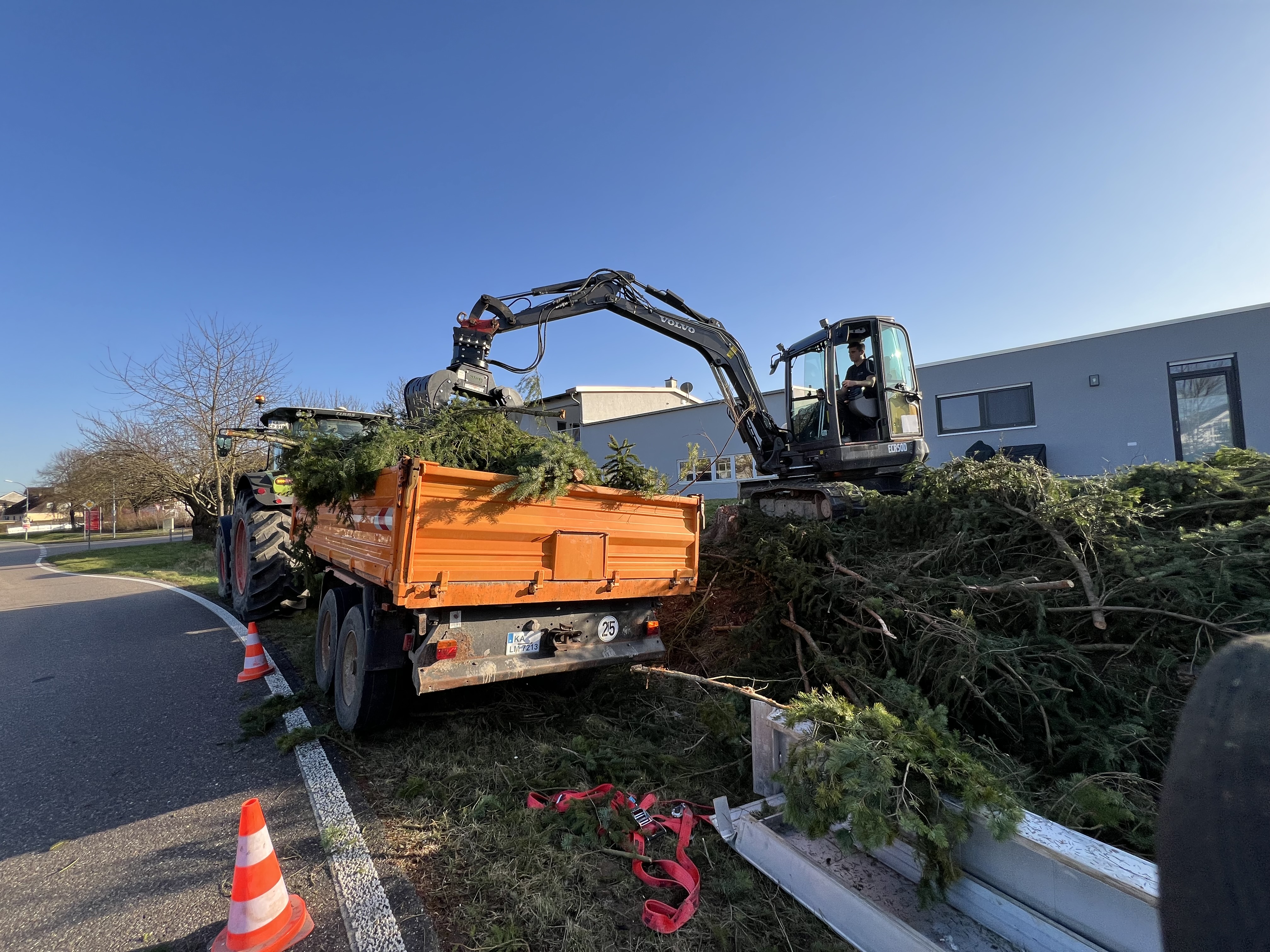 Professionelle Grünpflegearbeiten